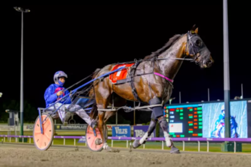 Minstrel scratched from Fremantle Cup hours before race