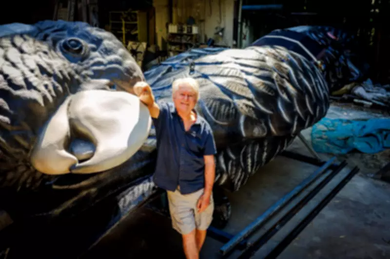 Moora's Carnaby's Black Cockatoos Stranded in Brisbane Amid Fuel Price Surge