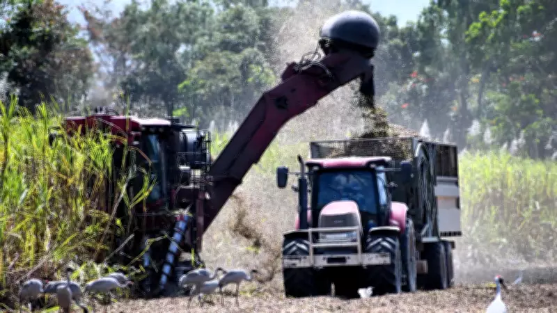 North Queensland Sugar Industry Faces Crisis as Iran Conflict Drives Diesel Costs Up