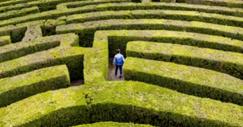 Overwhelm is a Rational Response to Chaos, Says Career Coach Zoe Wundenberg