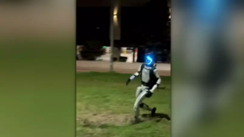 Poland Deploys Humanoid Robot Edward to Herd Wild Boars from Cities