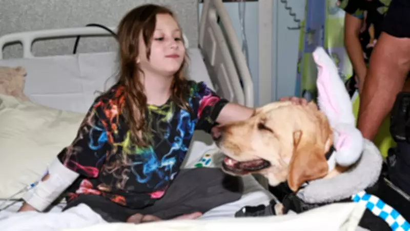 Police Dog Daphne Brings Easter Joy to Young Patients at Cairns Hospital