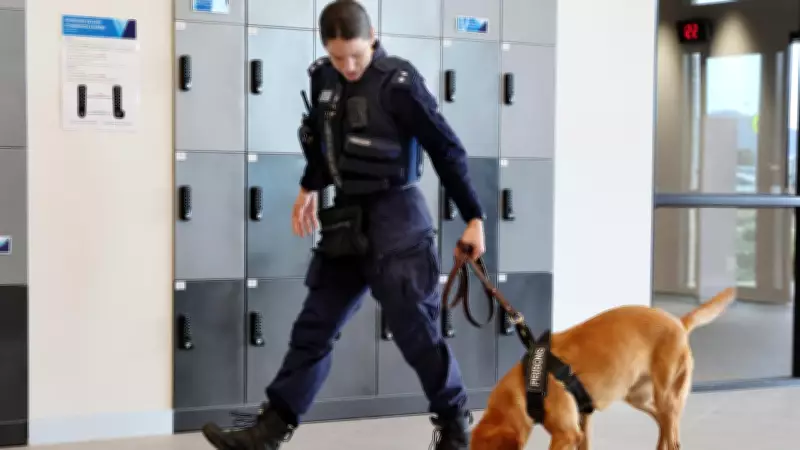 Police Probe Inmate Assault at High-Security Lara Prison