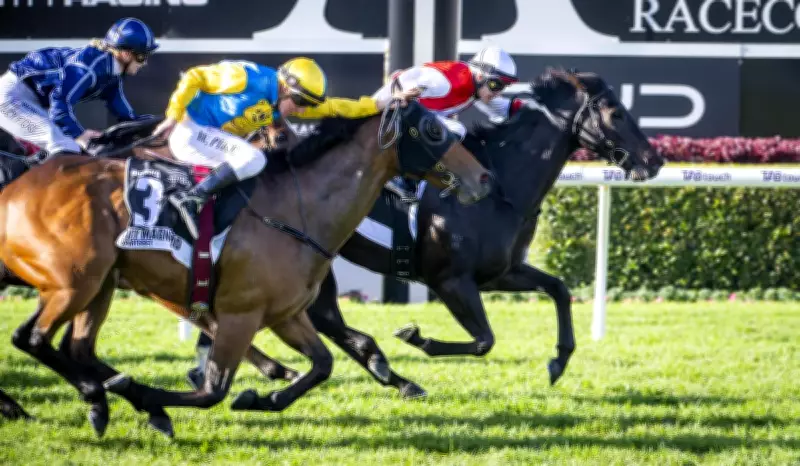 Quokka Winner Jigsaw Spelled After Seventh Straight Win