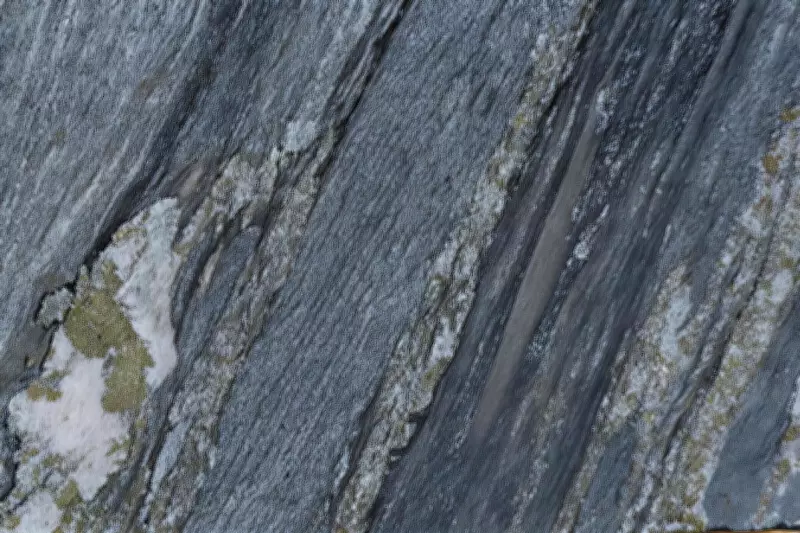 Red Metal's Pulkarrimarra Drilling Reveals Fertile Copper-Gold System in Paterson