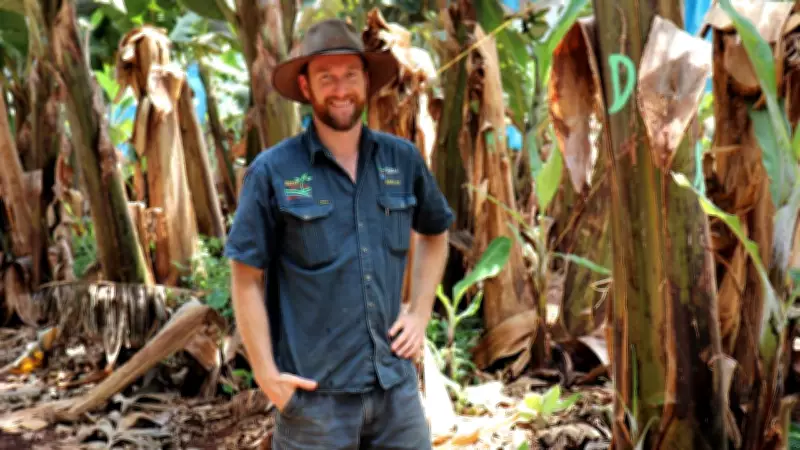 Rising Fuel Prices Threaten Australia's Banana Supply Chain