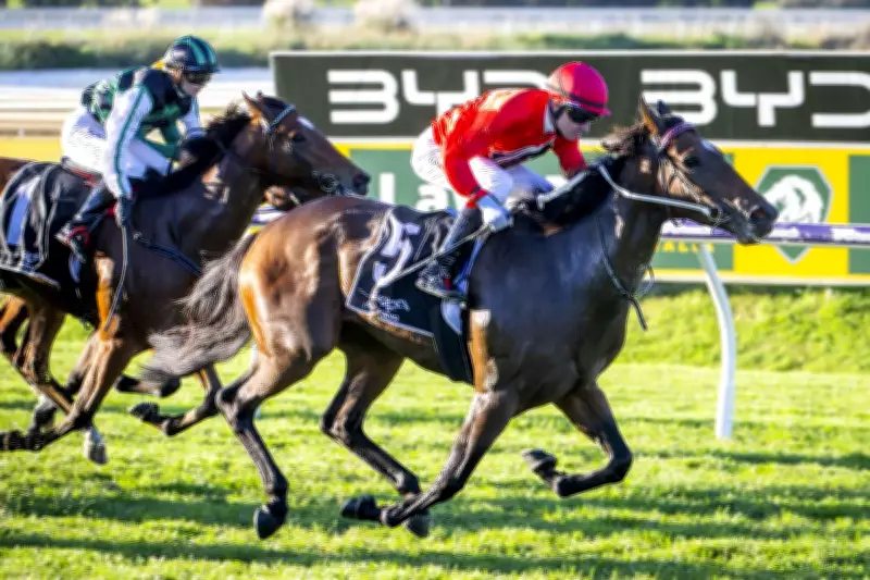 Rissoles Triumphs in Sheila Gwynne Classic at Ascot