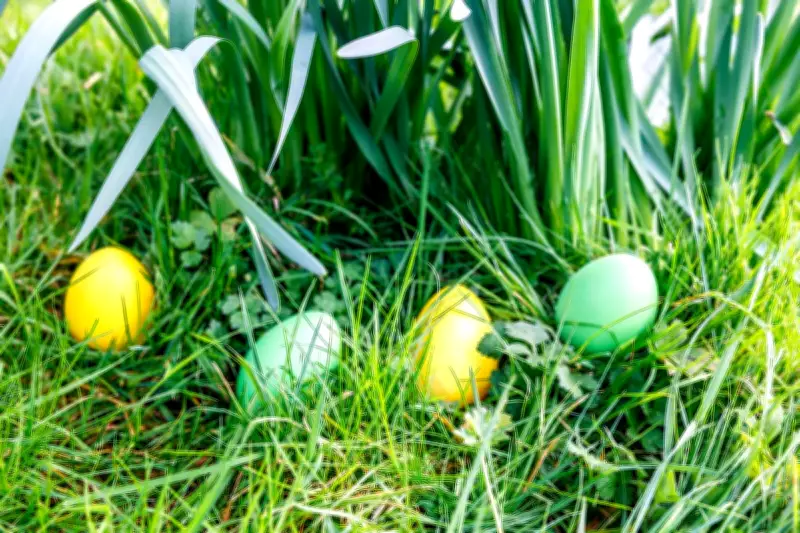 Sabrina Hahn's Easter Garden Guide: From DIY Cubbies to Plant Stalking