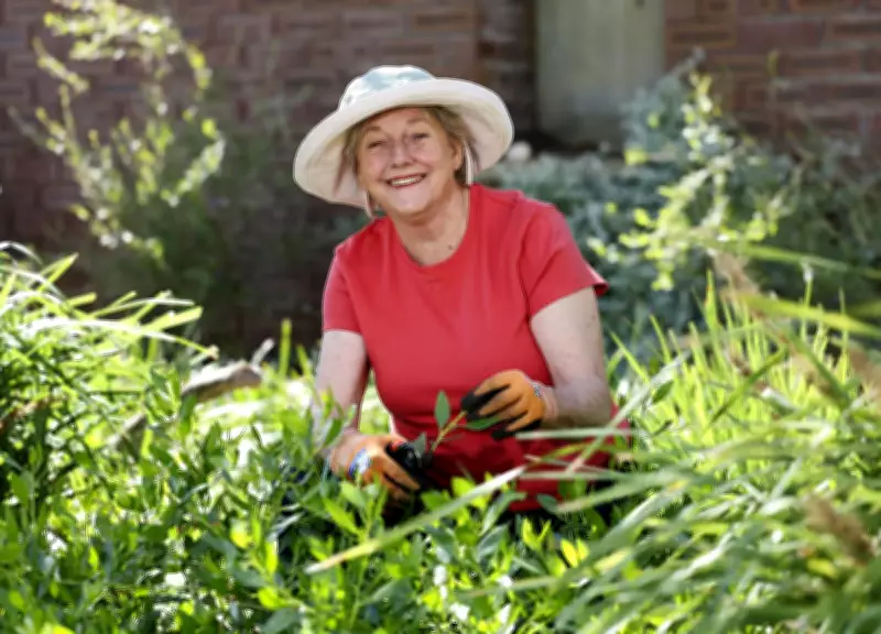Sabrina Hahn's Gardening Tips: Safe Rat Control and Citrus Gall Wasp Solutions