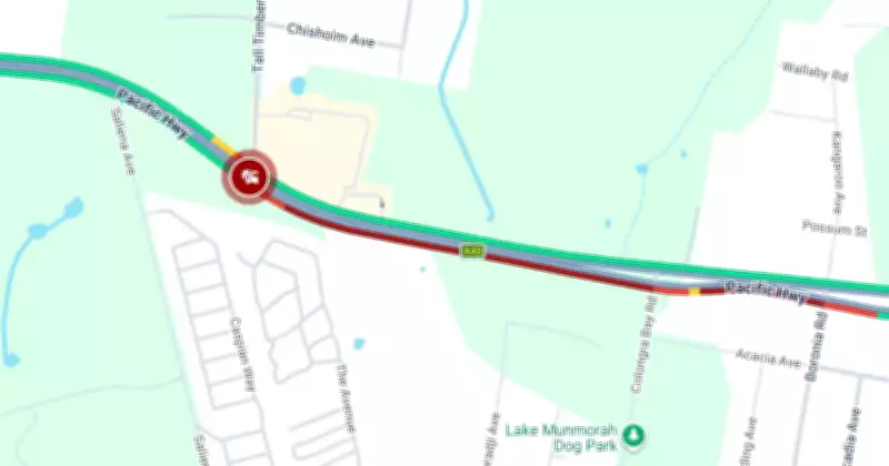 School Bus and Two Cars Crash on Pacific Highway, Woman Injured