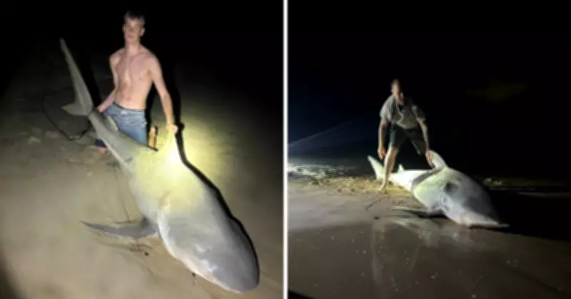 Shark Bite Trauma Kits for All Surf Clubs After Attack Spike