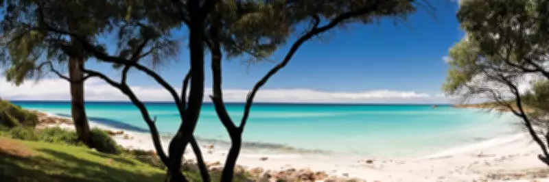 Shark Detection System Down at Meelup Beach, Swimmers Warned