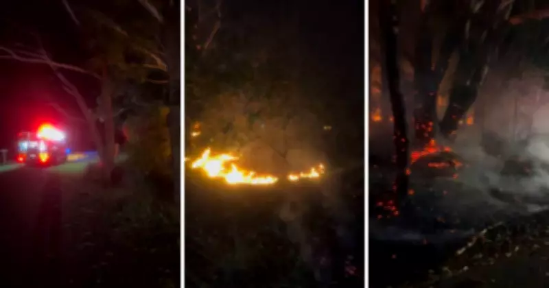 Shellharbour Arson Fears as Suspicious Bushfires Threaten Homes