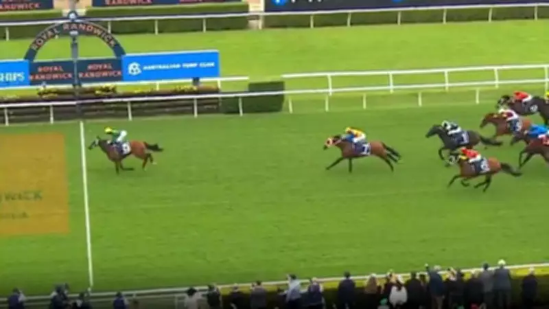 Sheza Alibi's Stunning Doncaster Mile Win Moves Trainer Peter Moody to Tears