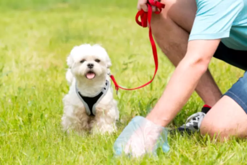 Statewide Shortage of Dog Poo Bags Sparks Concerns in Western Australia