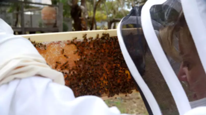 Surf Coast and Geelong Beekeepers Face Five Years of Devastation