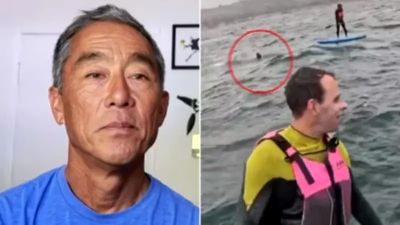 Surfer Chased by 4-Metre Shark in Terrifying Ocean Hunt