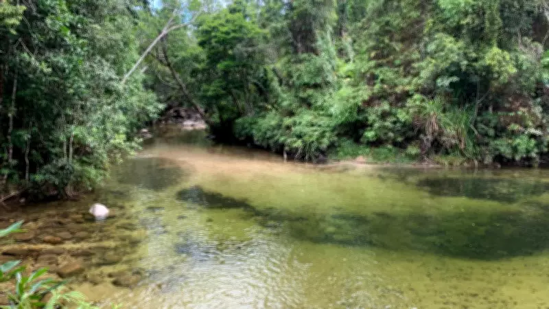Swimmer Hospitalised with Suspected Spinal Injuries After Diving at Alligators Nest