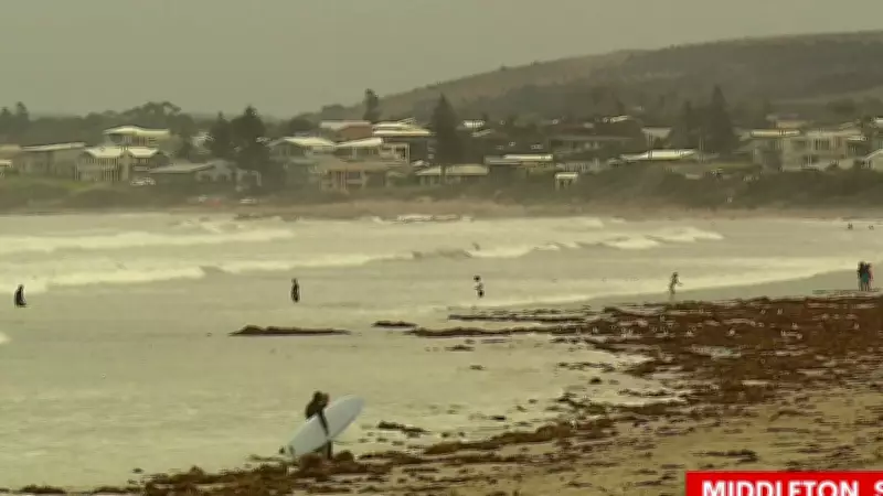 Teen Surfer Escapes Bronze Whaler Shark Attack in South Australia