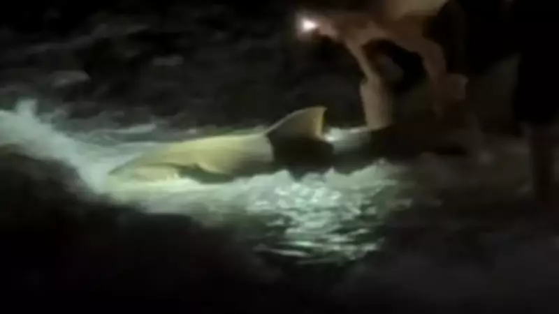 Teenage Fishermen Use Drone to Catch Huge Shark in Cairns