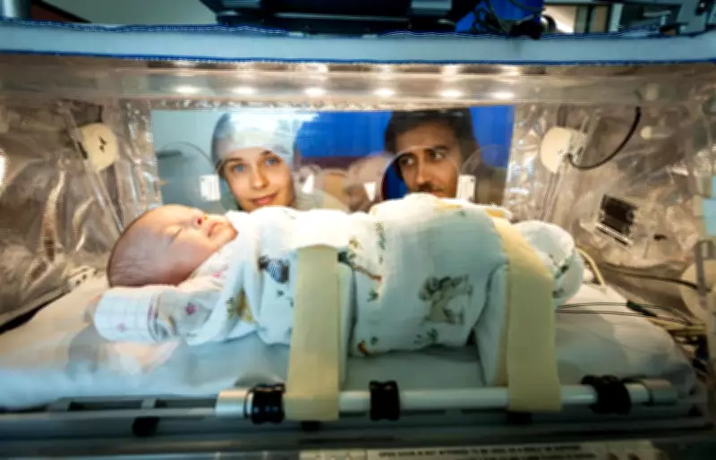 Telethon's New Ambulance and High-Tech Gear Boost Newborn Care Continuity