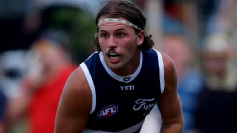 Three Unsigned Cats Press for AFL Selection as Herbert Continues Draft Push