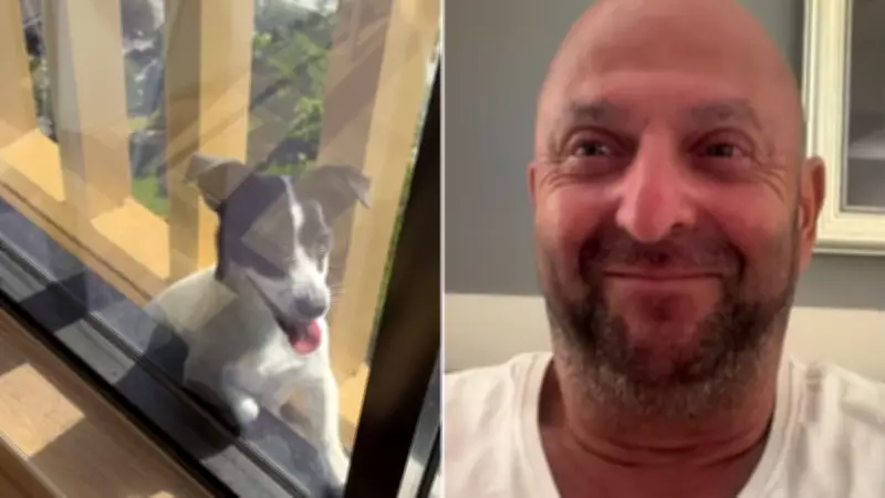 Tiny dog's 13-storey tightrope walk ends in dramatic rescue