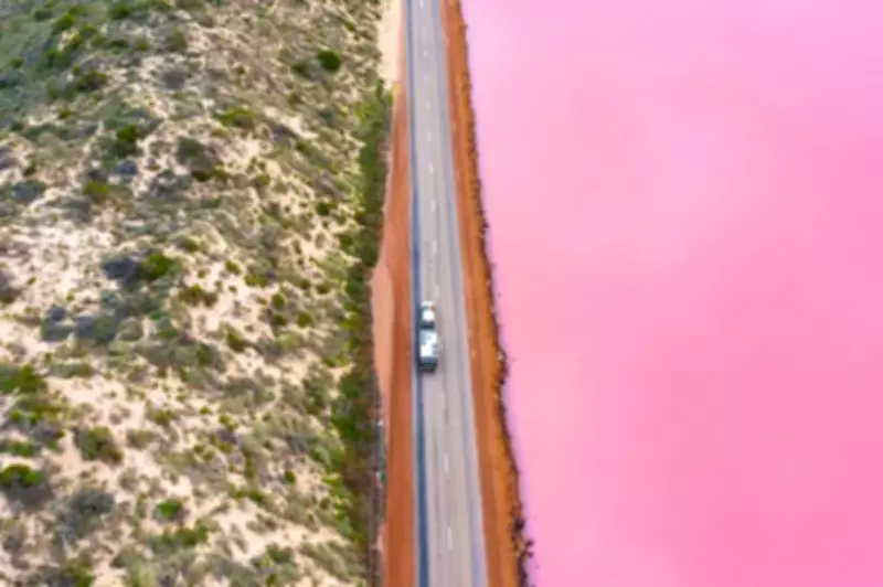 Top Solo Road Trips in Australia for 2026 Adventures