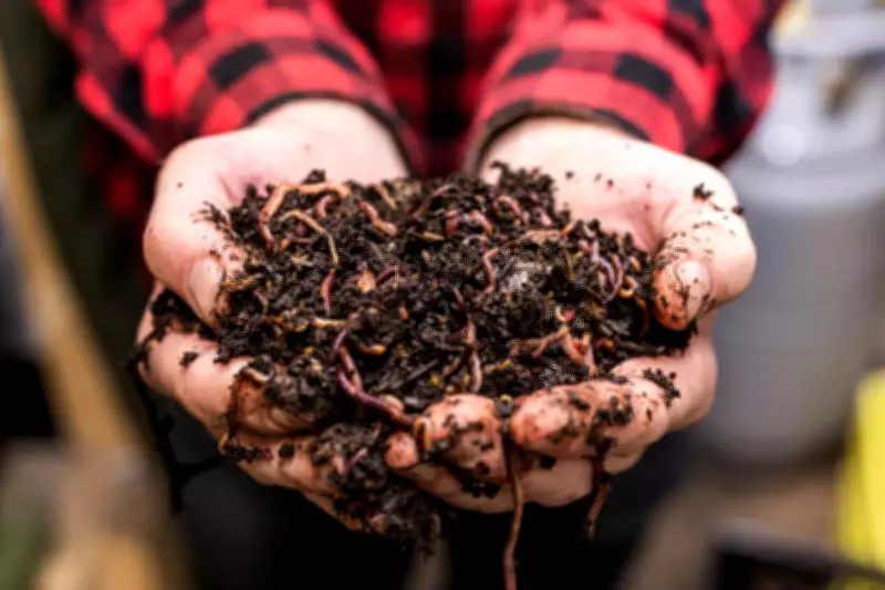 Transform Your Garden with a Worm Farm: A Simple Guide to Efficient Waste Recycling