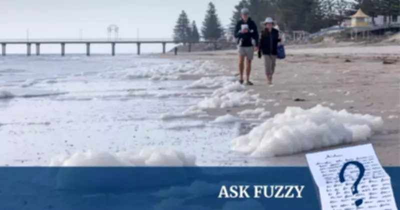 Understanding Algal Blooms: Causes, Impacts, and Environmental Concerns