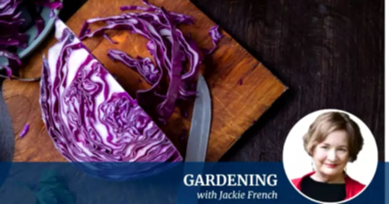 University Survival: The Red Cabbage and Rice Diet of Decades Past