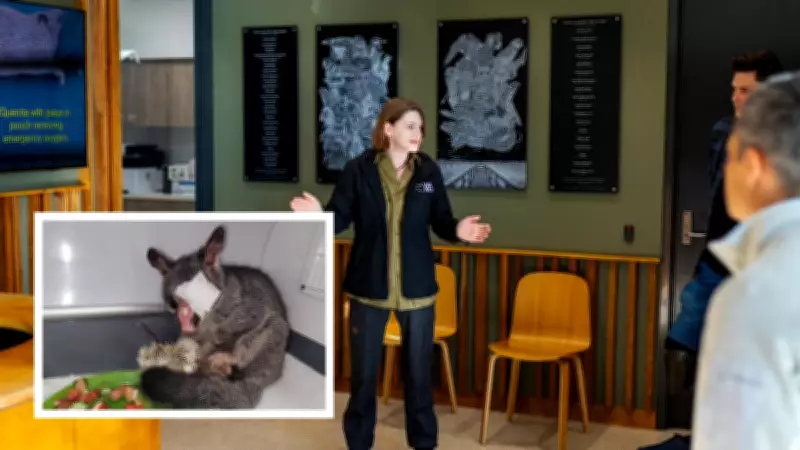 WA Wildlife Hospital Marks Fifth Birthday with Over 32,000 Animals Treated