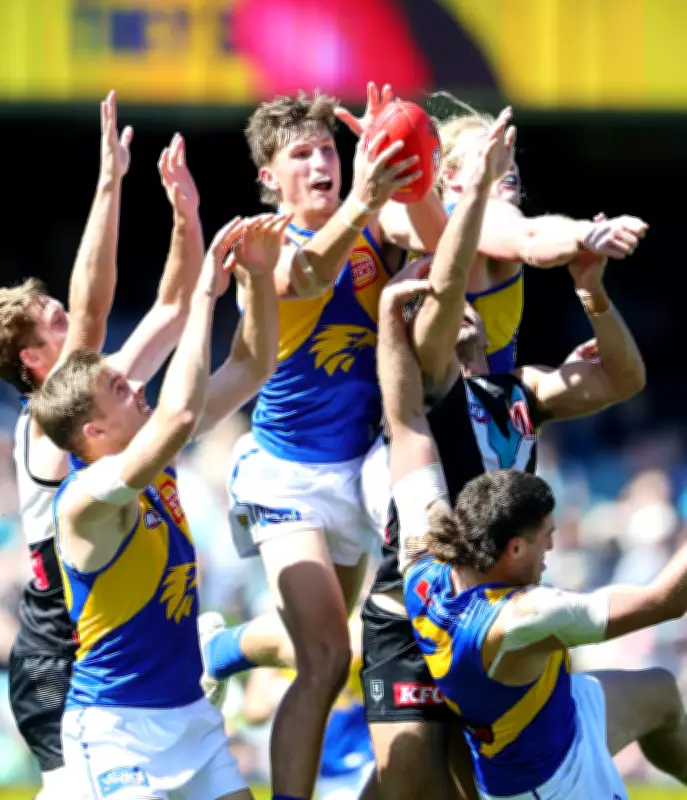 West Coast Eagles' Tall Stocks Soar with Expanded Bench, Says Danielle Laidley