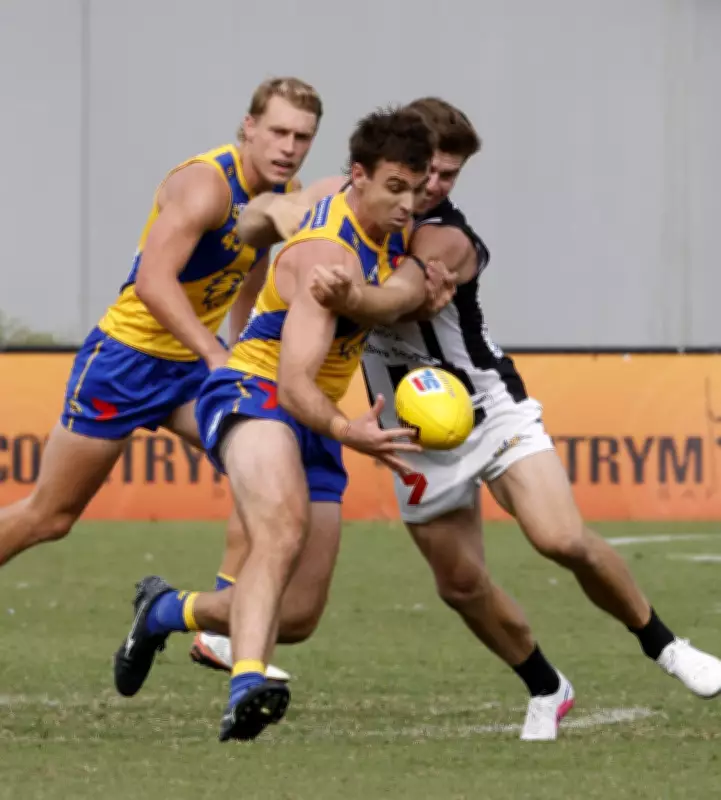 West Coast Eagles veteran Jamie Cripps returns to WAFL after AFL omission