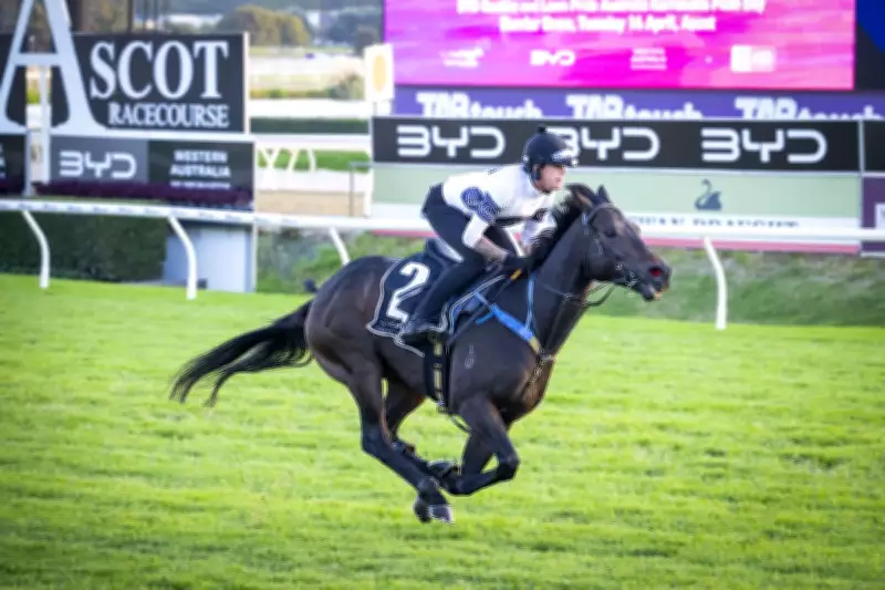Western Triology's Bjorn Baker Targets International Double with Caballus at The Quokka