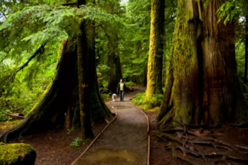 Whale Watching and Coastal Charm: Exploring Parksville and Qualicum Beach