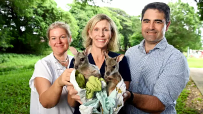 Wildhaven Hospital Opens to Rescue Injured Wildlife from Grim Survival Odds
