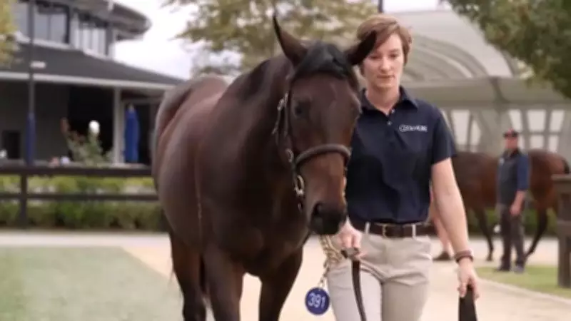 Winx's First Foal Quinceanera Retired from Racing Before Debut