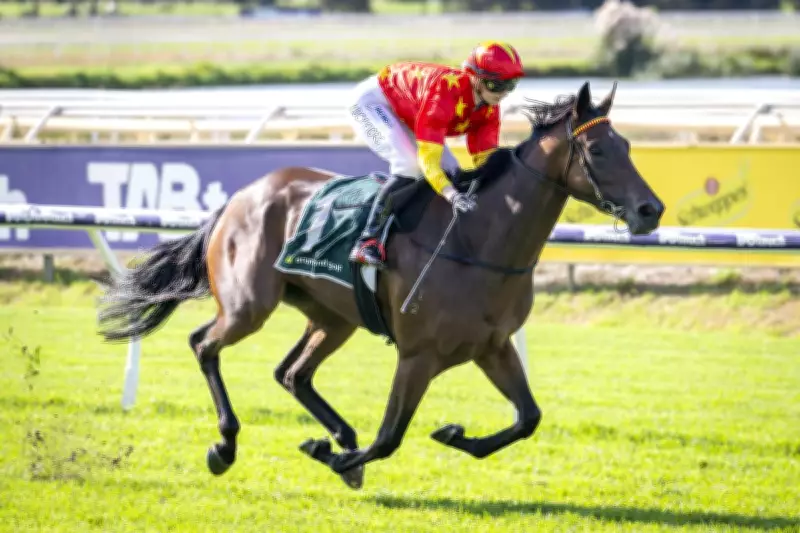 Wonderfully Made Strongly Supported to Win WATC Derby Despite Setback