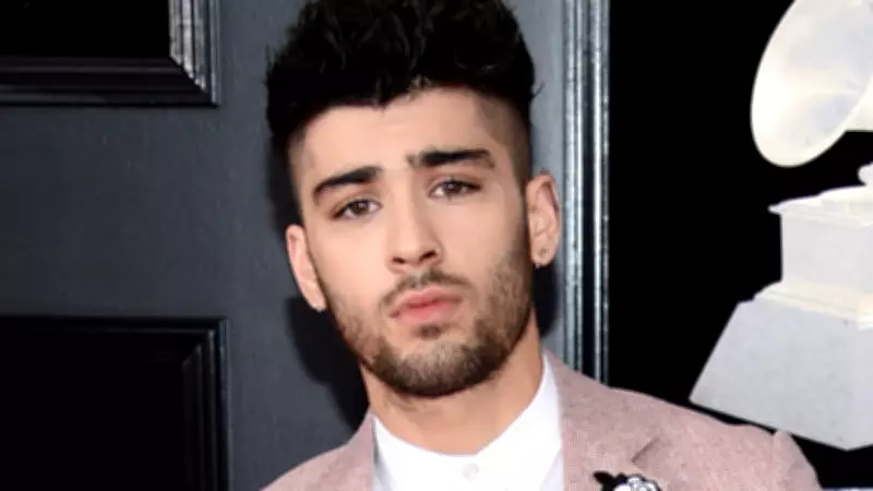 Zayn Malik Allegedly Punches Louis Tomlinson During Filming, Scrapping Netflix Documentary