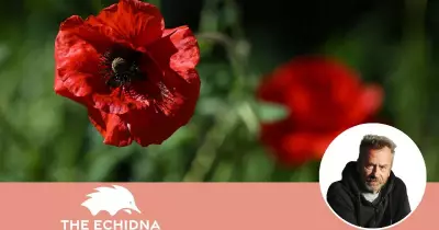 A Week of Memories We Shouldn't Allow to Fade