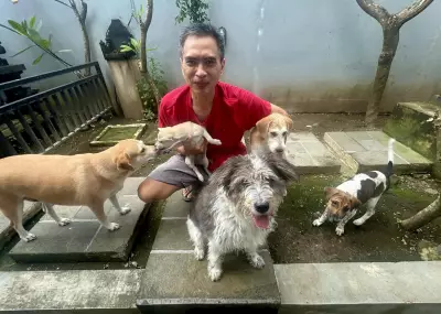 Bali's Dog Whisperer: One Man's Mission to Rescue Street Dogs
