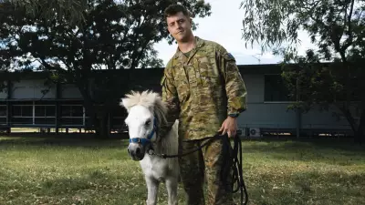 Beloved Army Pony Septimus Quintus Retires After Years of Service