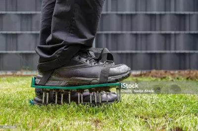 Charlie Albone's Guide: Preparing Your Lawn for the Winter Season