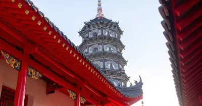 Chinese Language Day 2026: Celebrating Cultural Ties and Australia's National Capability