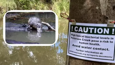 Community Groups Rally to Save Cairns Creek from Invasive Plant Species