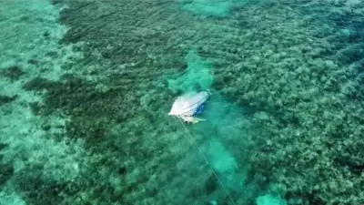 Dramatic Helicopter Rescue Saves Three Stranded After Boat Sinks on Great Barrier Reef