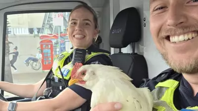Geelong Man Arrested After Jaywalking Incident Leads to Police Discovery