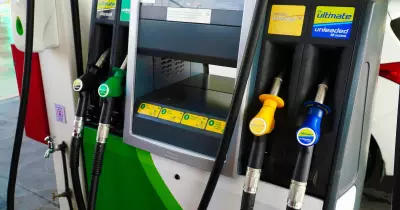 Government's Past Fuel Conservation Calls: A Historical Overview