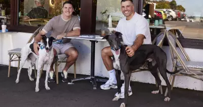 Greyhounds As Pets National Adoption Day: Spotlight on Sydney Royal Easter Show Success